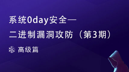 [結(jié)束]系統(tǒng)0day安全-二進(jìn)制漏洞攻防（第3期）