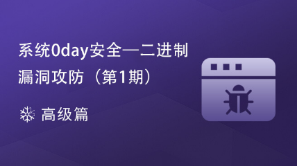 [結束]系統(tǒng)0day安全 - 二進制漏洞攻防（第1期）