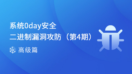 系統(tǒng)0day安全-二進(jìn)制漏洞攻防（第4期）